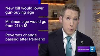 Florida Republicans file bill to lower gun-buying age from 21 to 18