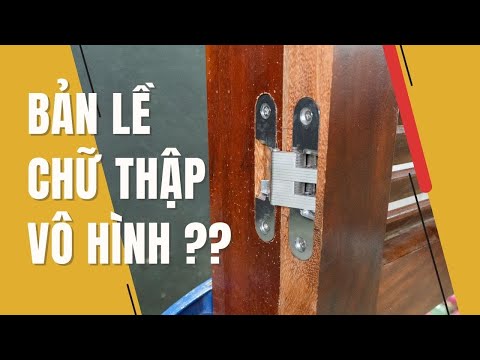 Video: Bản lề cho kính: mô tả, giống