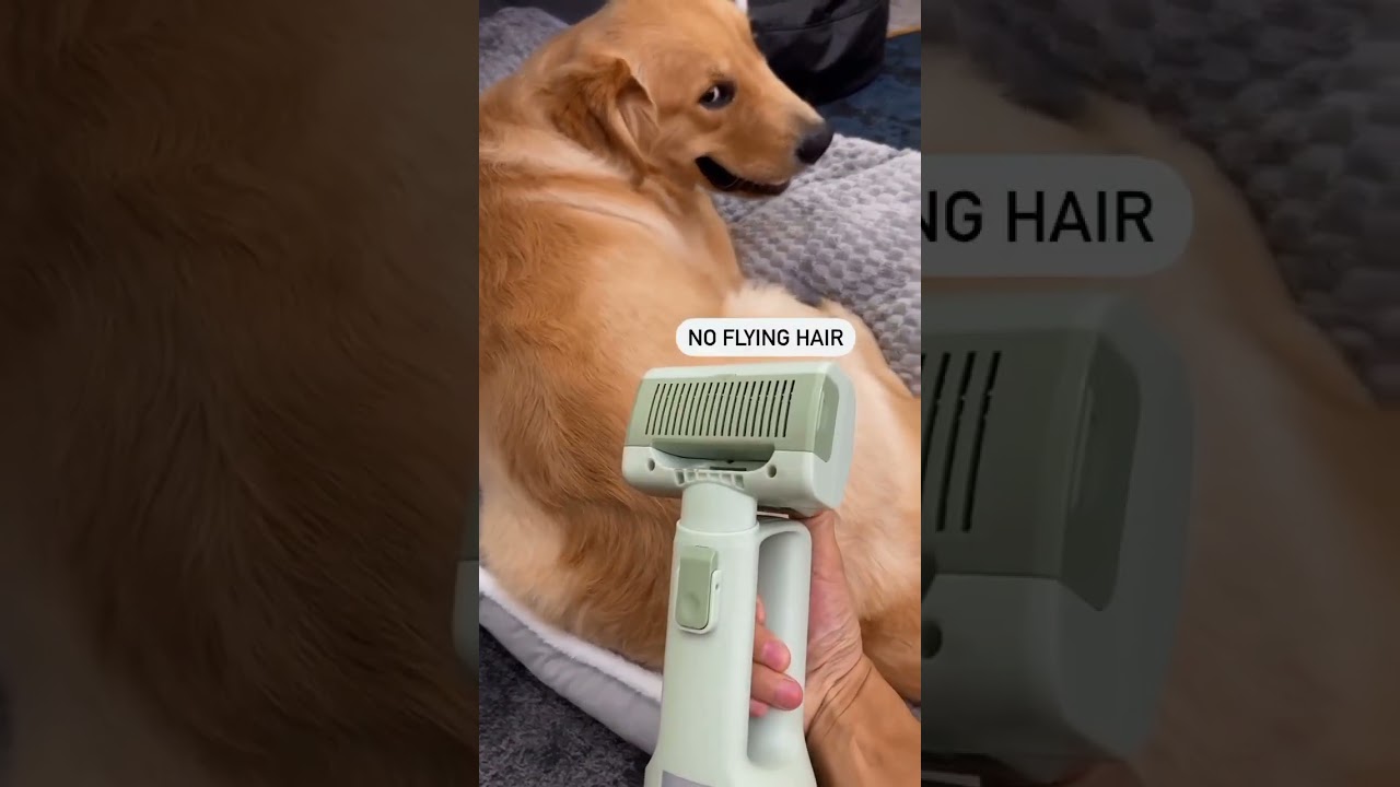🐾 Try the Pat Hair Remover Vacuum – You’ll Be Shocked! 