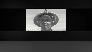 Peter d’Agostino and Homer Jackson: New Virtual Installations