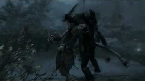 Shadow Warrior, Skyrim