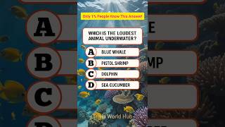 🦐 Loudest Animal Underwater? 🌊 Trivia World Hub
