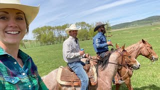 How big is Heartland Amber Marshall's Farm