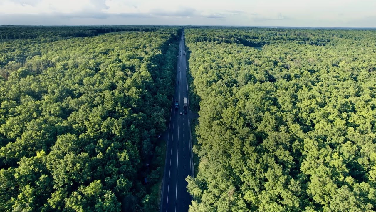 A conversation between Autoliv and UN Road Safety Fund