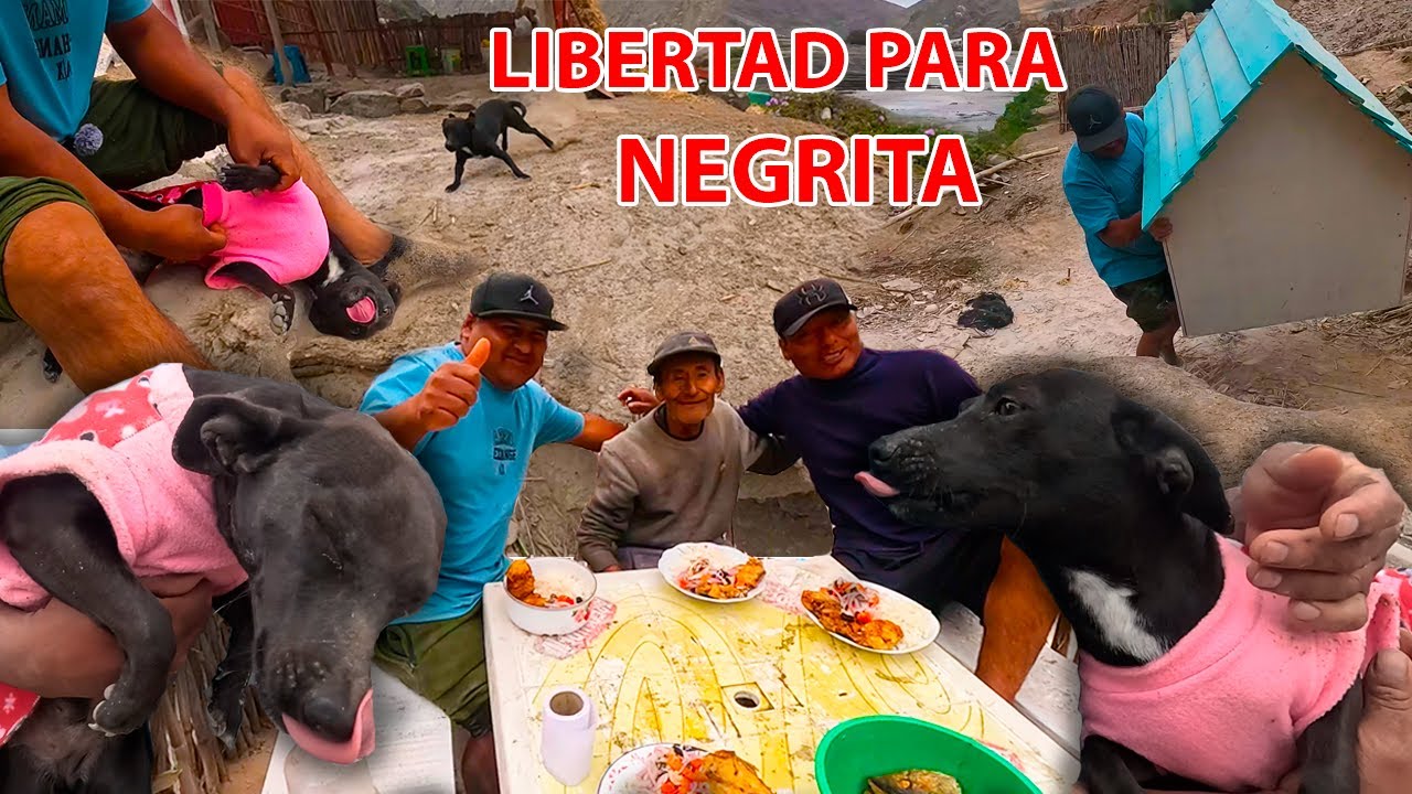 Me acusaron de ROBARLE al TÍO CALIMÁN pero la verdad fue otra... AYUDAMOS a NEGRITA