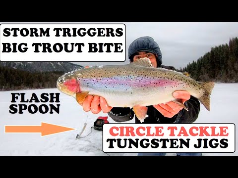 Rainbow Trout Ice Fishing Tips: Flashing Spoon and Tungsten Jig 