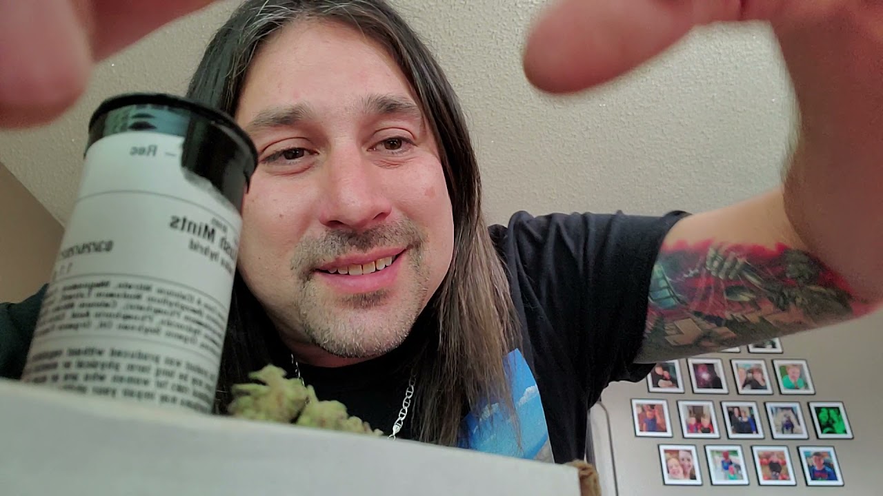 Dan's 420 Chronicles - Kush Mints / Weed Review 3/26/21