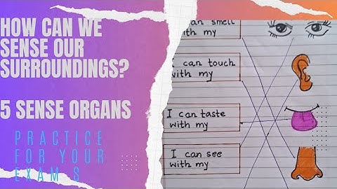 Sense organs of our body#5 Sense organs#EVS Worksheet Class 1