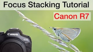 Focus stacking on the Canon R7 - Tutorial (step-by-step)