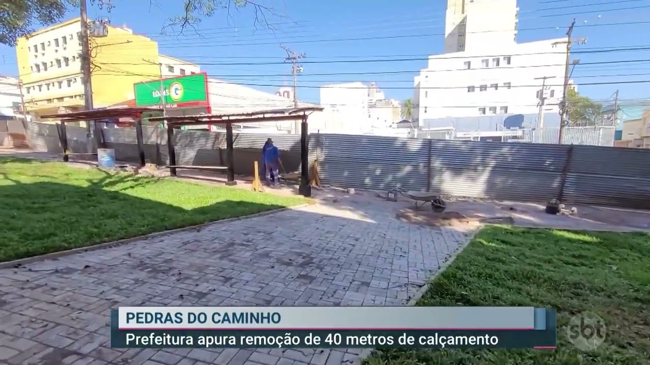 Nada como um passeio em família! Capivaras são flagradas passeando em linha  de produção de empresa de Joinville; vídeo - Banda B