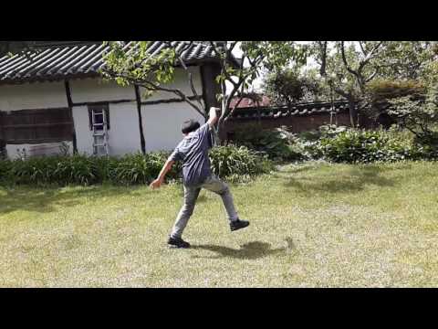 BTS Fire is performed by Seojun