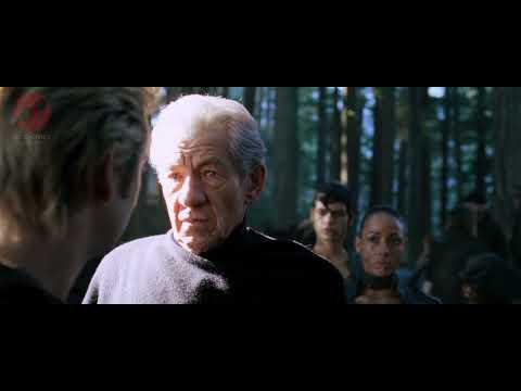 Magneto's respect for Charles Xavier