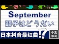 日本抖音热门歌曲  ! ? 赶紧来听听吧!September原唱Ujita Mai【中文歌词/罗马音】