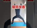 立ってできる股関節ストレッチ#shorts #ストレッチ #股関節