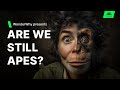 We Didn't Evolve From Monkeys, So Who Is Our Closest Twin?