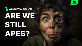 We Didn't Evolve From Monkeys, So Who Is Our Closest Twin