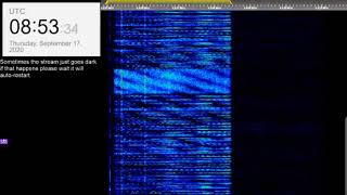 The Buzzer/UVB-76(4625Khz) September 17th 2020 08:52UTC Voice message