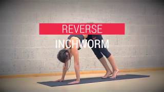 Reverse Inchworm