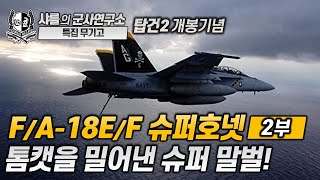 [특집 무기고] F/A-18E/F 슈퍼호넷 2부, 톰캣을 밀어낸 슈퍼 말벌! #탑건매버릭 #탑건2 #슈퍼호넷