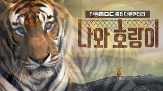 안동MBC 특집 다큐멘터리 '나와 호랑이'