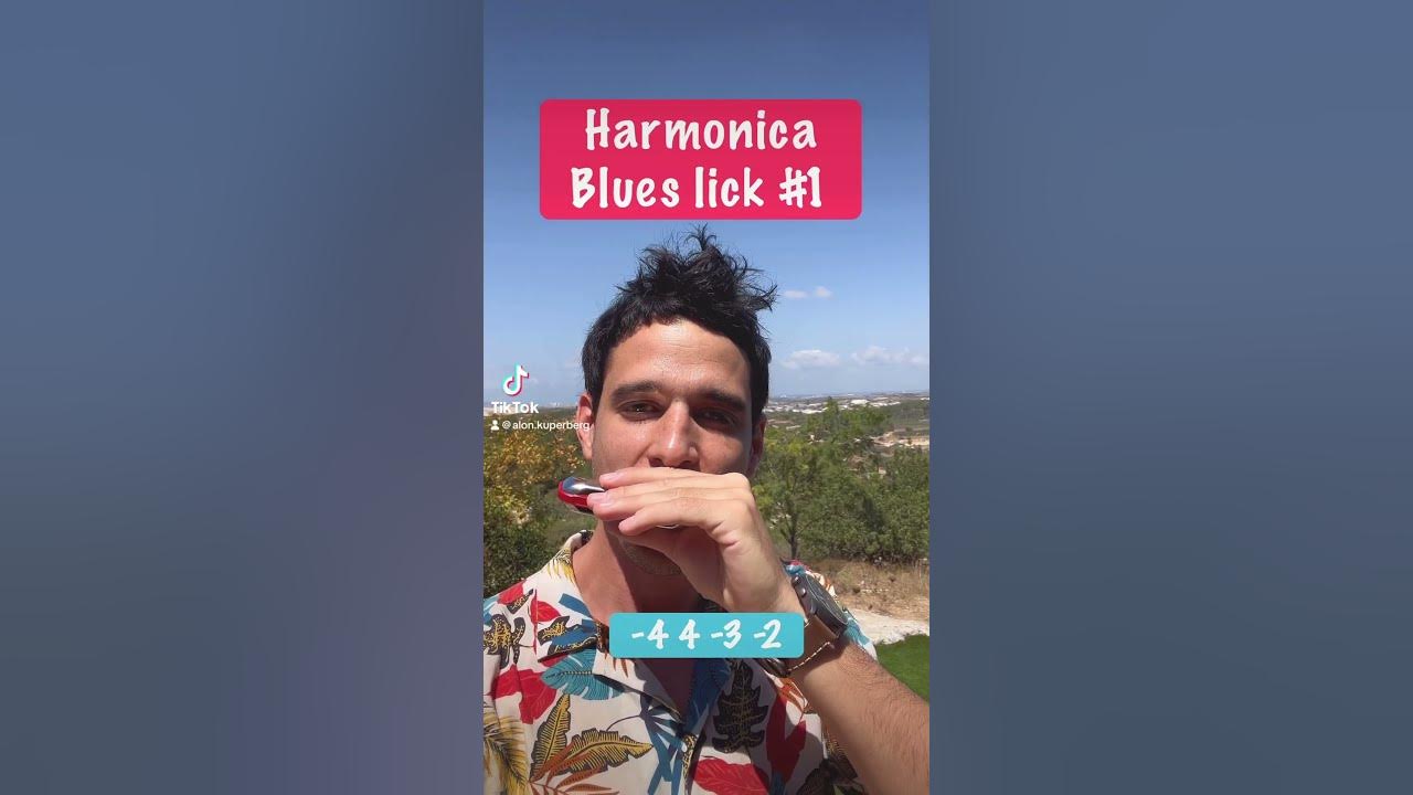 Harmonica Blues lick #1 (for beginners)