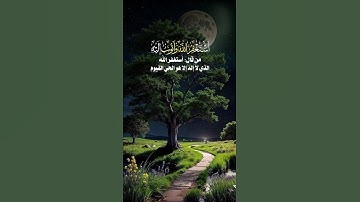📖 مقاطع قصيرة من القرآن الكريم والأحاديث والأدعية، #قرآن #اسلاميات #تلاوة #ذكر #دعاء #أحاديث #اسلام