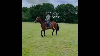 Advert reference - 312434