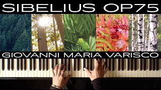 Jean Sibelius - 5 pezzi per pianoforte, Op. 75 "Gli Alberi" - Giovanni Maria Varisco