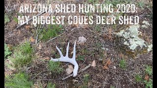 A week or two after ken and i went shed hunting, hiked back in to look
for some of the missing antler matches we had left behind. found lots
chalk she...