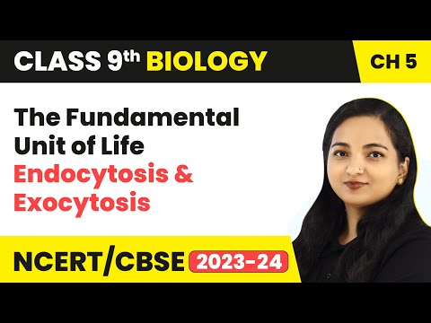 Endocytosis and Exocytosis - The Fundamental Unit of Life | Class 9 Biology