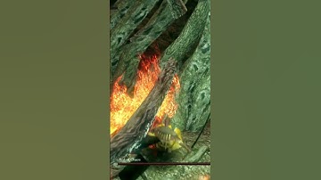 Bed of Chaos just...killed itself?