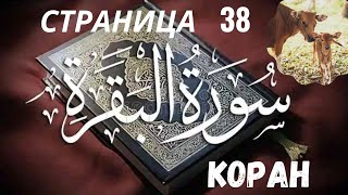 38 страница Корана суры Бакара, ее чтение такое красивое и расслабляющее.