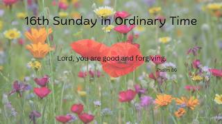 16th Sunday in Ordinary Time