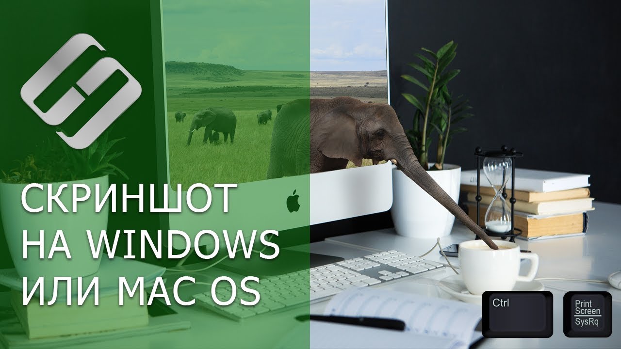 ⁣Как сделать скриншот на компьютере или ноутбуке с Windows или MacOS (hotkeys, программы) ?⌨️?️