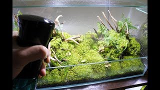 コケリウムの育て方 水の与え方編