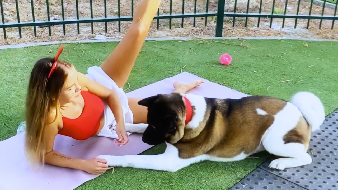 POV - You're Stretching Outside and Your Dog Starts a Comedy Show - YouTube