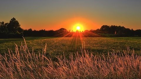 morning🌞Beautiful Sunrise Video with birds | Early morning timeLapse #morning #4k #sunrise