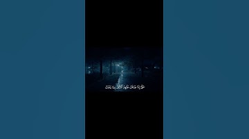 (حتى إذا ضاقت عليهم الأرض بما رحبت) - سورة التوبة: الآية 118 | القارئ : شادي هاني
