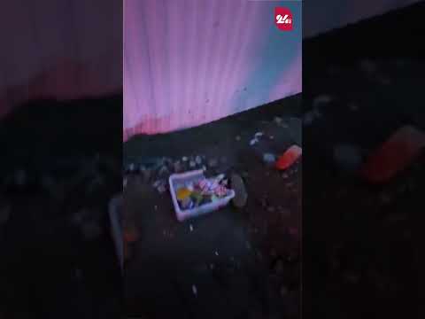 YouTube видео
