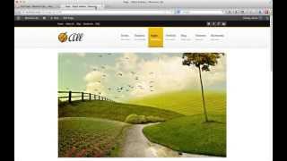 4all Theme - Page & Blog Options