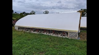 How We Move Shelters for Pasture Raised Chickens
