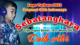 Sebatangkara ~ Dede Alvi Lagu Tarling Terbaru 2022 @alvimusikstudio7535 @unialvichanel788