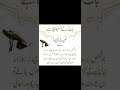 DUA For Health рџ І Islamicstatus Aima Viral Ytshorts DUA For Health рџ І Islamicstatus Aima Viral Ytshorts