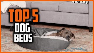 ✅Top 5 Best Dog Beds for Shih Tzus in 2024
