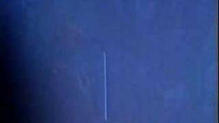 Famous Tool - Reflection (1) Profile