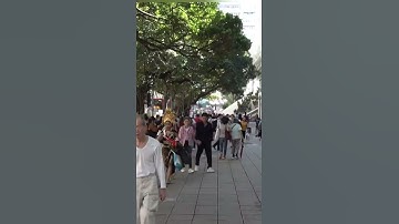 Languages of Hong Kong