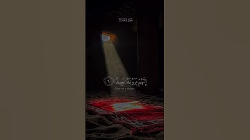 تلاوة خاشعة #قرآن #اسلاميات #تلاوة_خاشعة #اكسبلور