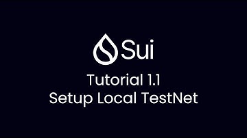 Sui Blockchain Tutorial 1.1 Setup Sui CLI from Binary