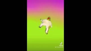 Dancing Frog tiktok memes mexico mxico frog dancing shorts short mexican edit edits