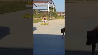 Boy jumps around in walker and faceplants